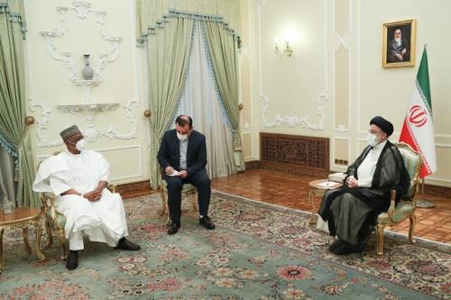 رئیسی: ایران و نیجریه ظرفیت های مناسبی برای توسعه روابط دارند