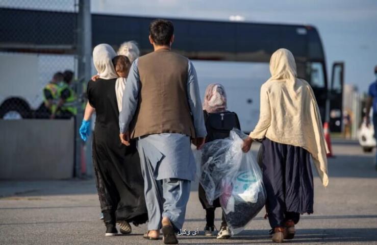 توضیحات مهم دادستان کل کشور درباره ی اتباع بدون مجوز