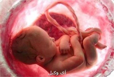 توضیحات رئیس كل دادگاه های یزد در مورد پرونده های اهداء جنین
